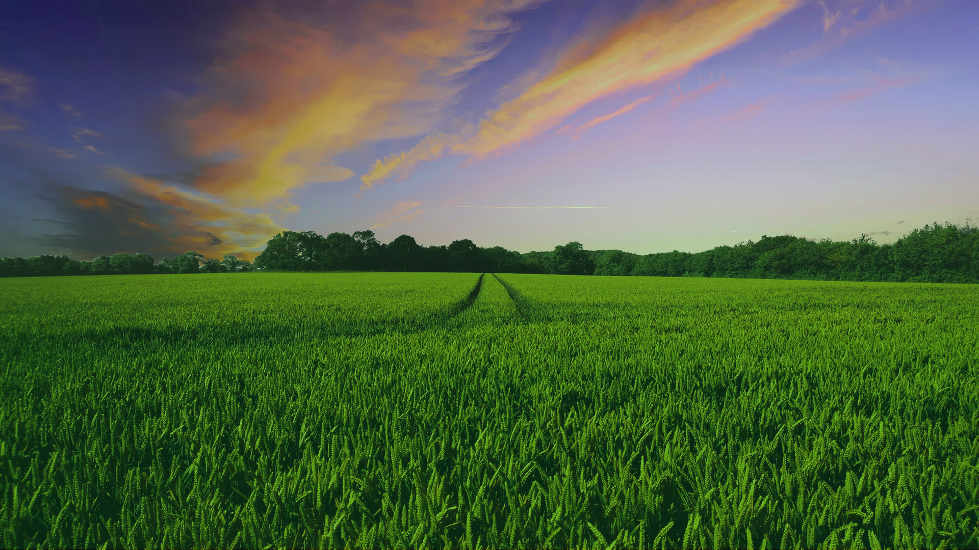 FarmForest Research